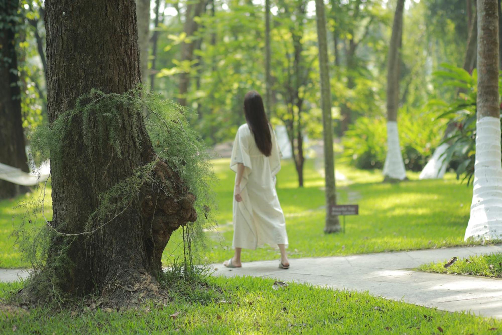 Kairali - The Ayurvedic Healing Village Palakkad Dış mekan fotoğraf