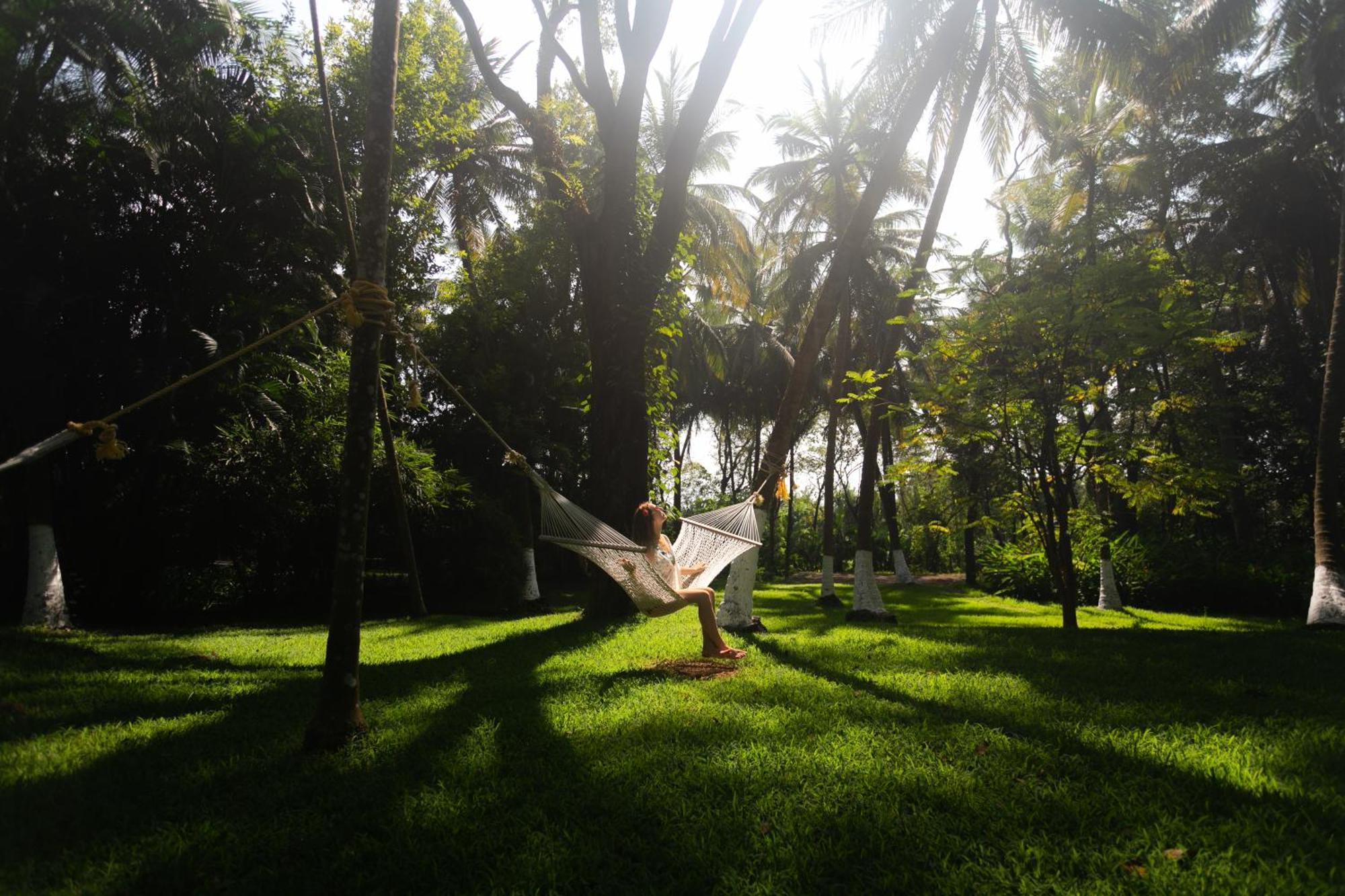 Kairali - The Ayurvedic Healing Village Palakkad Dış mekan fotoğraf